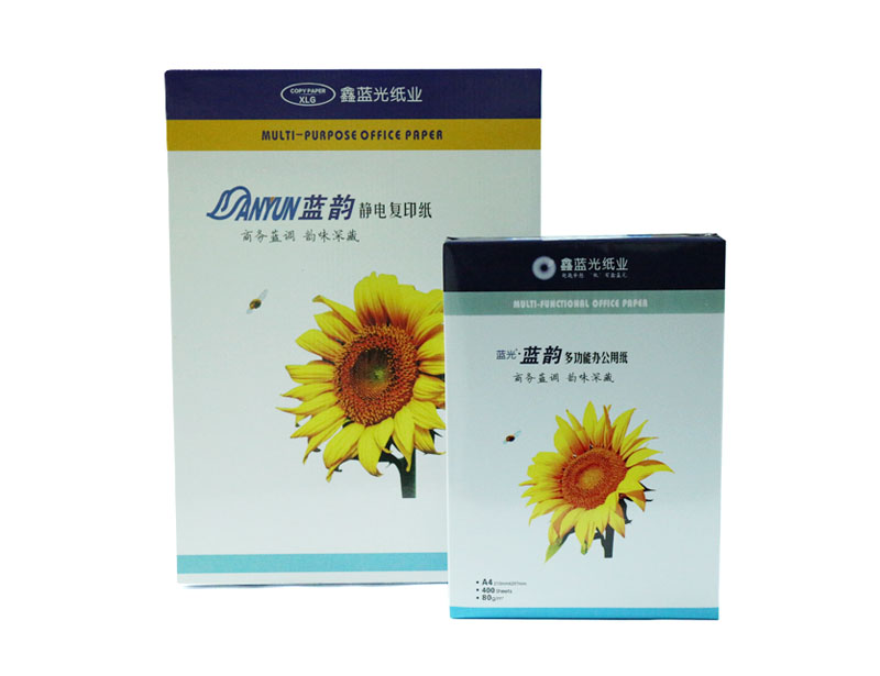 藍韻靜電復印紙